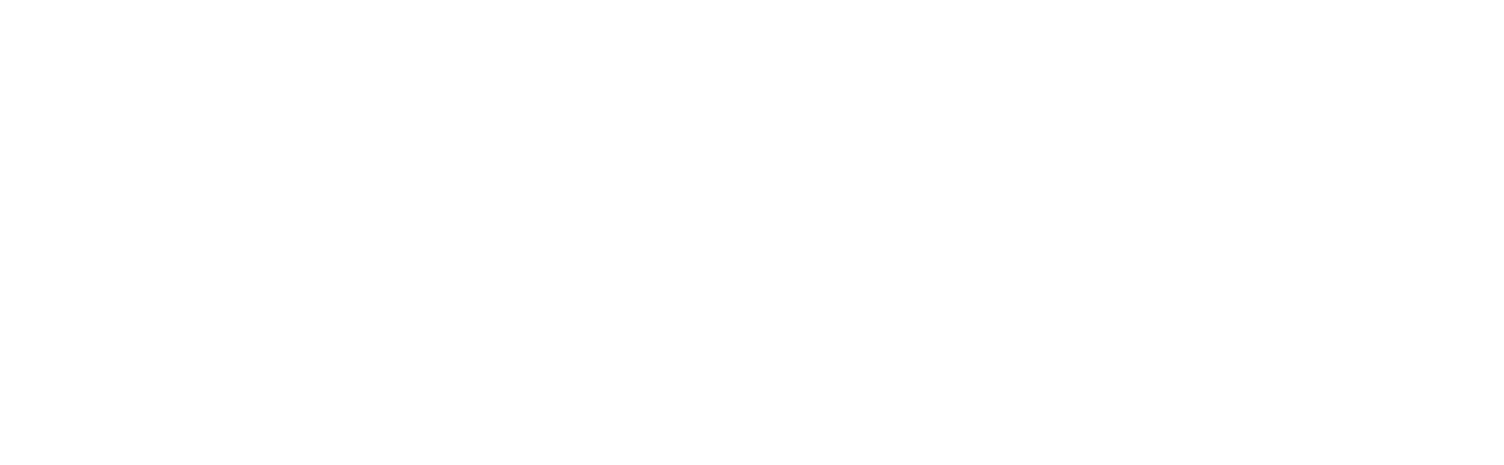 METRO PROPERTIES